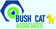 Welcome To Bush Cat Associates